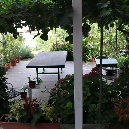 Villa Katarina Losinj Island Mali Losinj Exterior photo