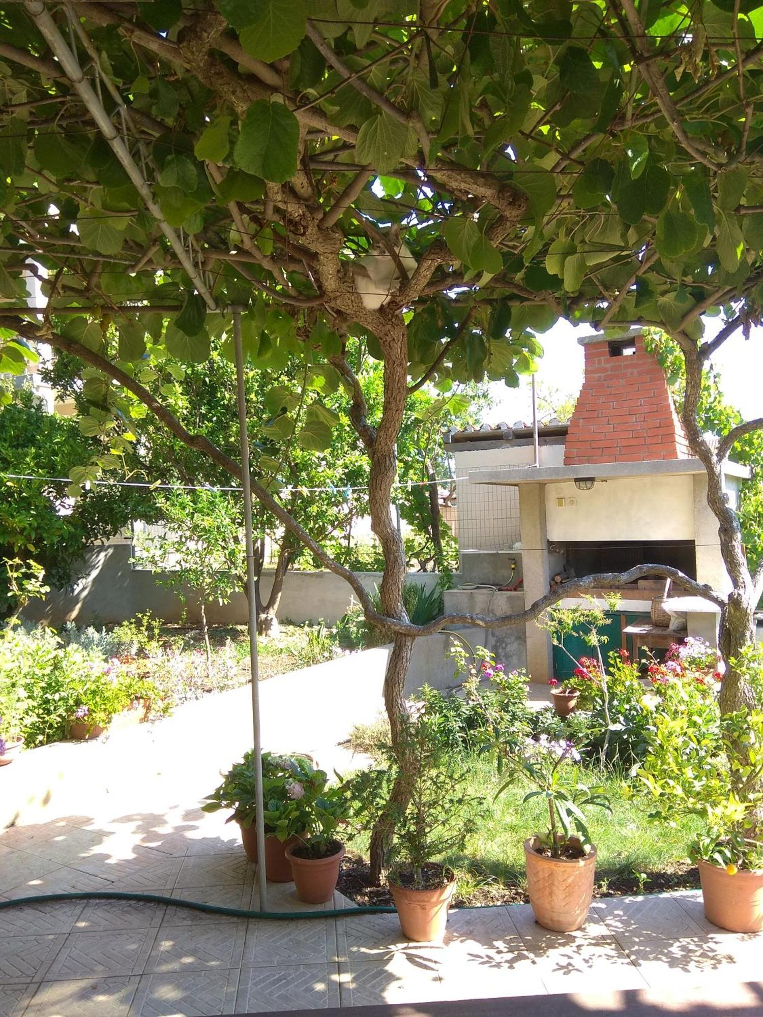 Villa Katarina Losinj Island Mali Losinj Exterior photo